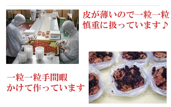 梅干し,梅,青梅,梅肉エキス,紀州南高梅干通販の専門店 かつお梅干し- 深見梅店 -